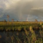 rainbow-over-big-cypress-everglades