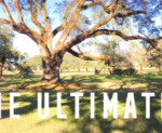 Site Header – Yall.com – The Ultimate Guide to the South