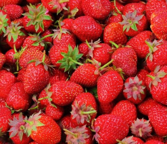 strawberry-strawberries