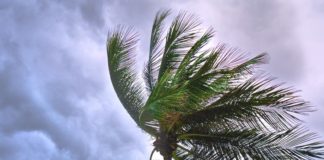 tropical-storm
