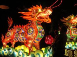 zoolumination-chinese-lantern-festival