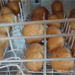 potatoes-dishwasher