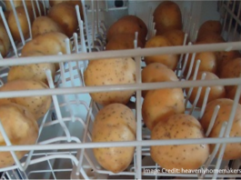 potatoes-dishwasher