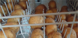 potatoes-dishwasher
