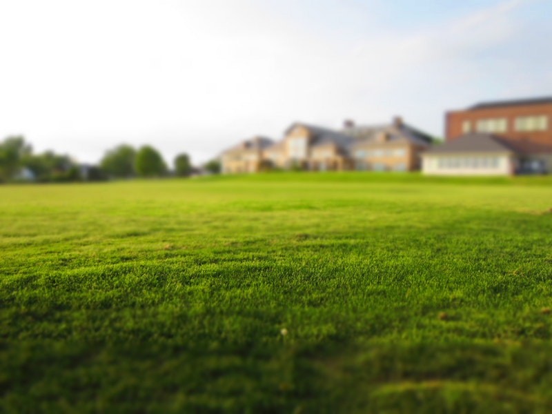 grass-lawn