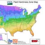 usda-plant zones