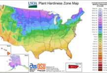 usda-plant zones