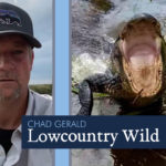 Lowcountry Wild