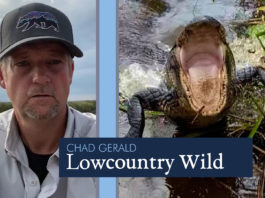 Lowcountry Wild