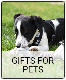 Gifts for pets