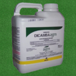 Dicamba